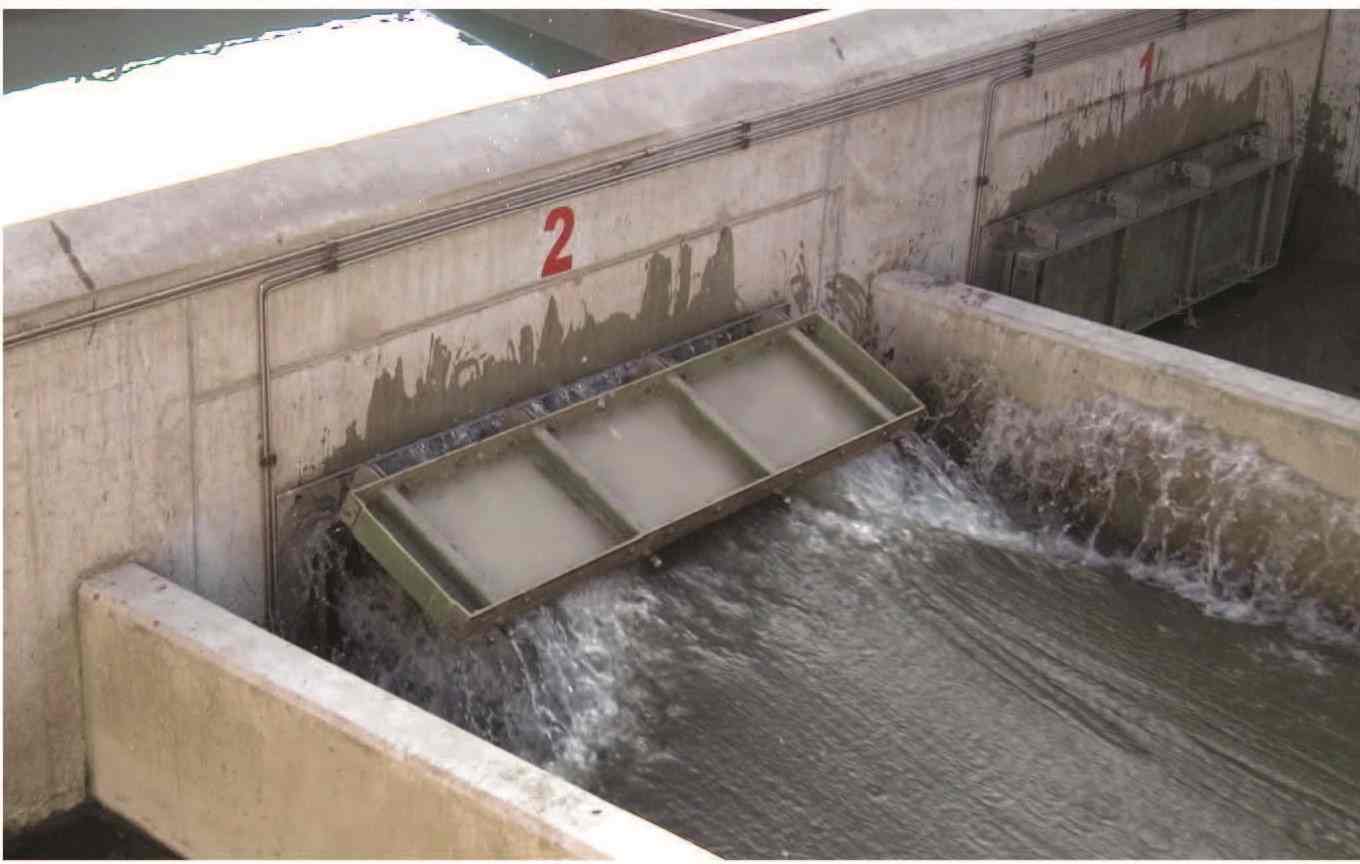 Flush Gate