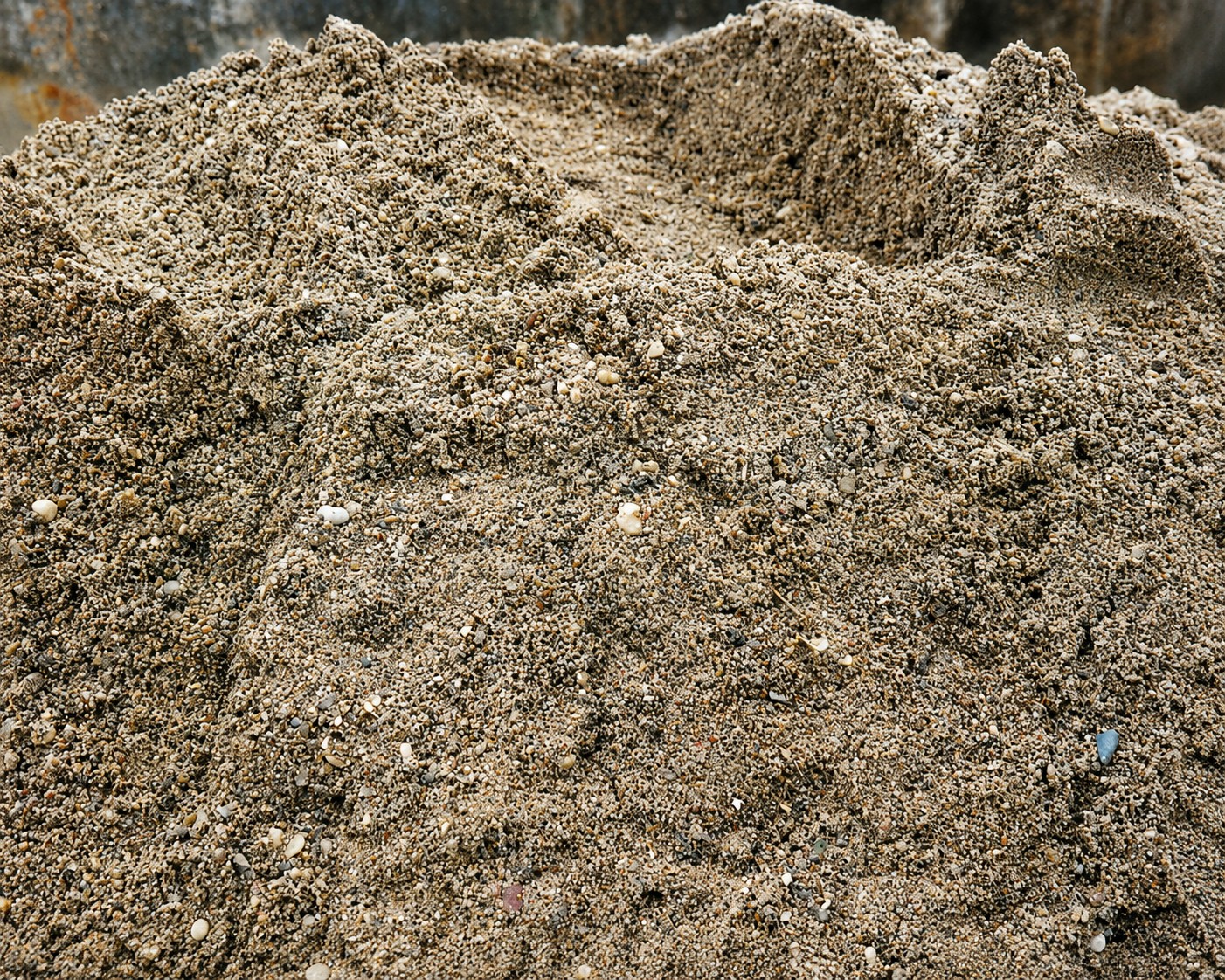 grit washer
